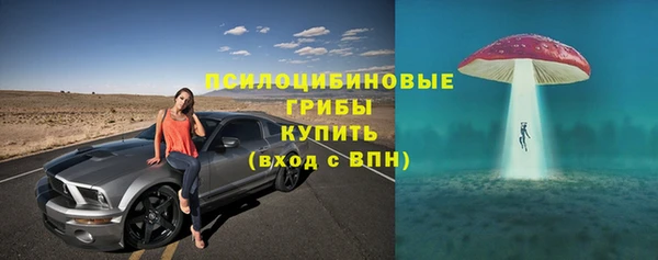 соль ск Бронницы