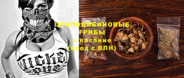 ПСИЛОЦИБИНОВЫЕ ГРИБЫ Бородино