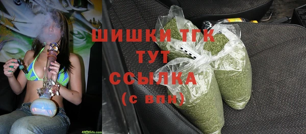 соль ск Бронницы